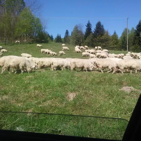 Gospodarstwo agroturystyczne Boguska Zawoja